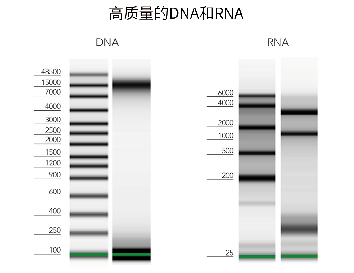 优享价-R2001R2002.png