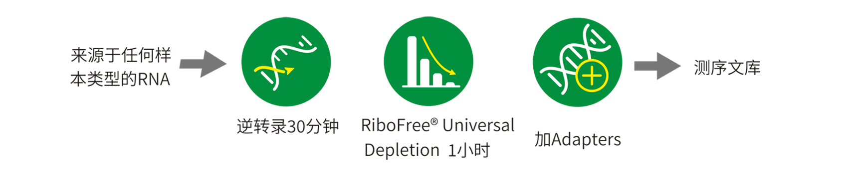 优享价R3000R3003.png